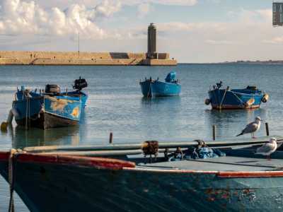 ...fanno bella mostra di s� i classici gozzi blu e rossi (lanze in dialetto barese)